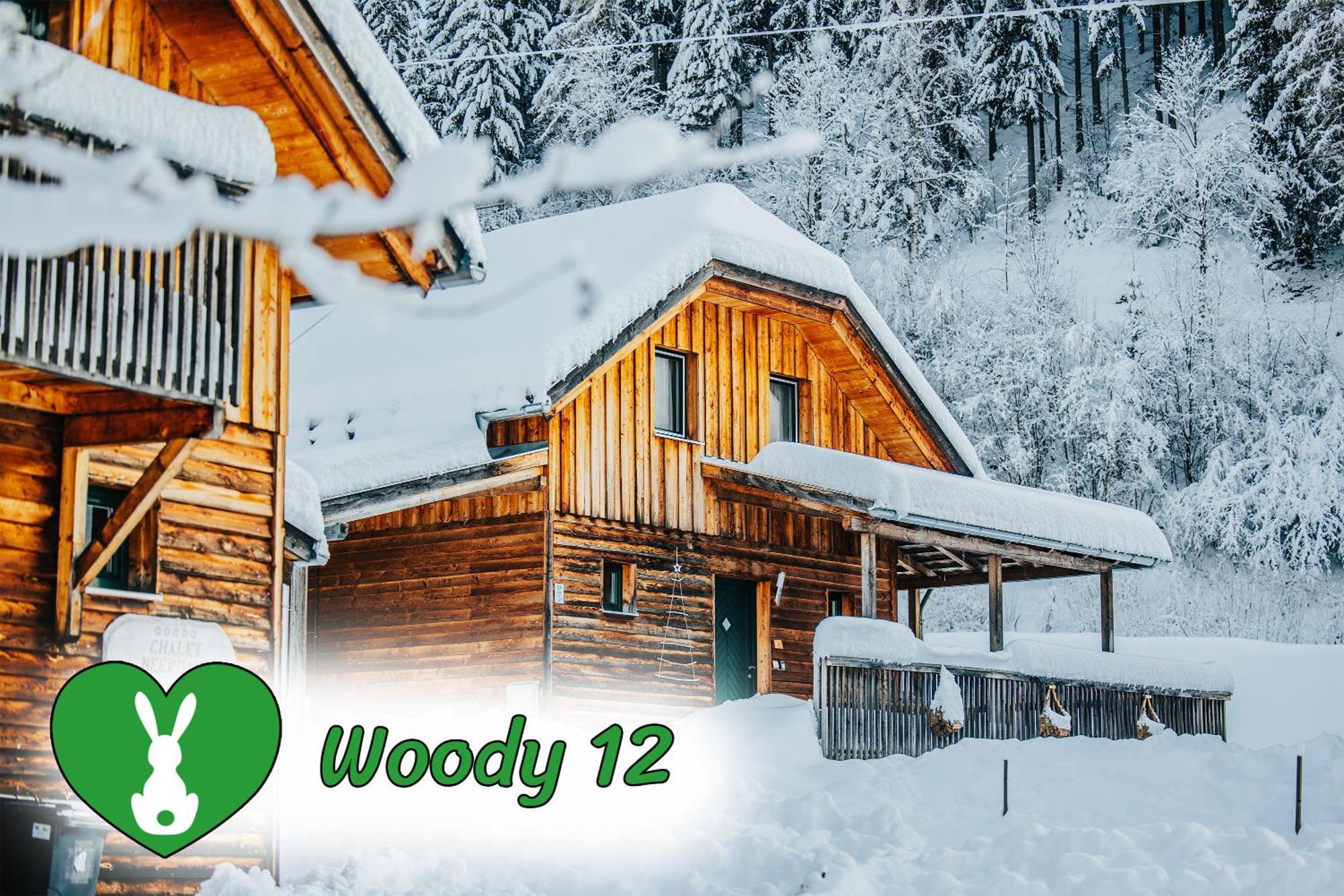 Woody Park Villa Sankt Georgen ob Murau Eksteriør billede